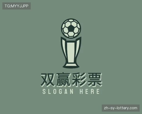关于双赢彩票在线投注